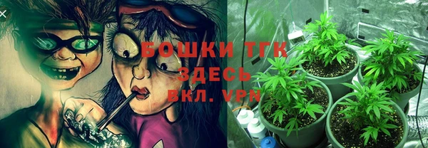 тгк Бронницы