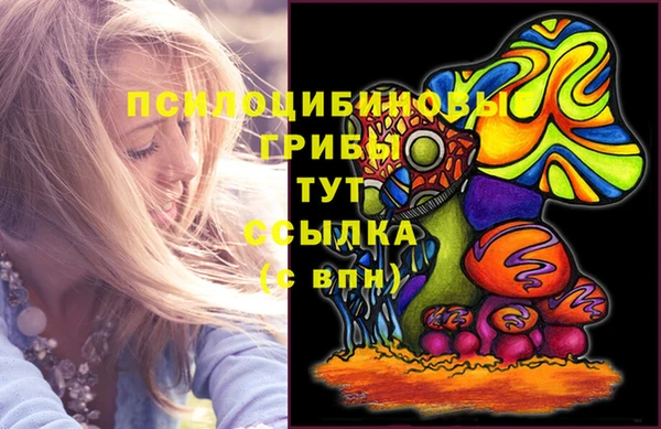 мдпв Володарск