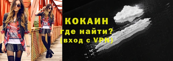 стаф Пересвет